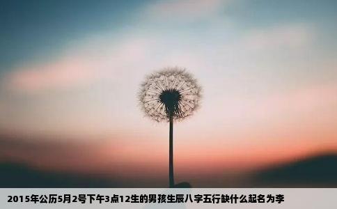 2015年公历5月2号下午3点12生的男孩生辰八字五行缺什么起名为李