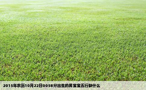 2015年农历10月22日0058分出生的男宝宝五行缺什么