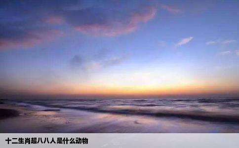 十二生肖超八八人是什么动物
