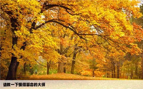 请教一下懂得算命的大师