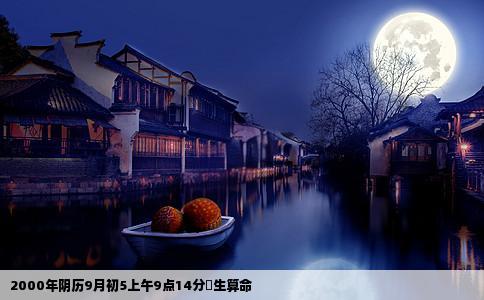 2000年阴历9月初5上午9点14分岀生算命