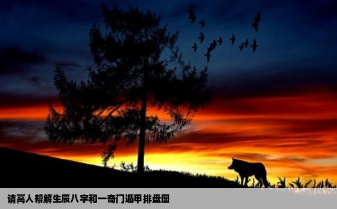 请高人帮解生辰八字和一奇门遁甲排盘图