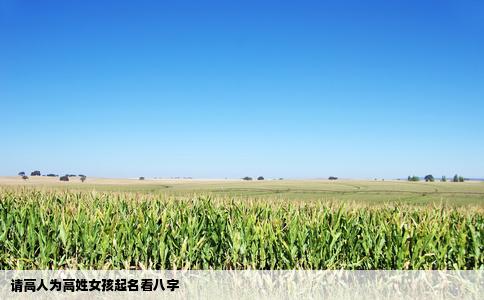 请高人为高姓女孩起名看八字