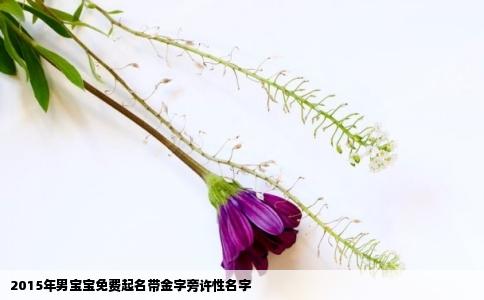 2015年男宝宝免费起名带金字旁许性名字