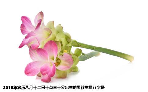 2015年农历八月十二日十点三十分出生的男孩生晨八字是
