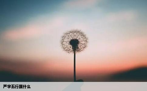 严字五行属什么