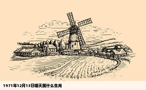 1971年12月13日哪天属什么生肖