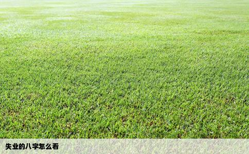 失业的八字怎么看