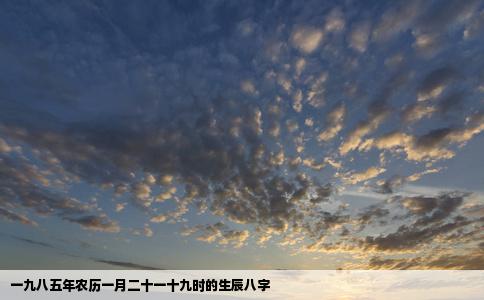 一九八五年农历一月二十一十九时的生辰八字