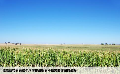 谁能帮忙看看这个八字排盘啊看不懂男的详细的最好