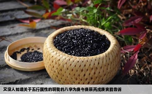 又没人知道关于五行属性的啊我的八字为庚午庚辰丙戌庚寅能告诉