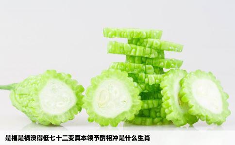 是福是祸没得低七十二变真本领予酌相冲是什么生肖