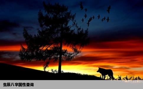 生辰八字属性查询