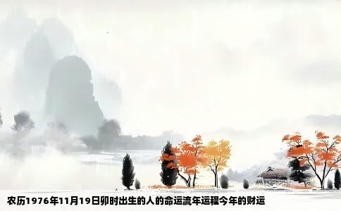 农历1976年11月19日卯时出生的人的命运流年运程今年的财运