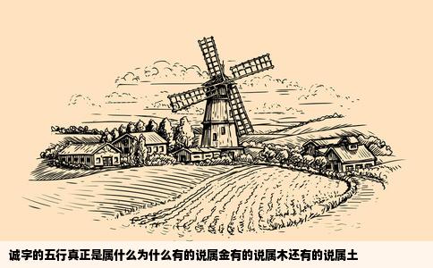诚字的五行真正是属什么为什么有的说属金有的说属木还有的说属土