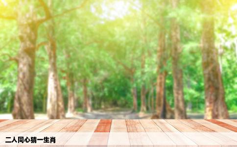 二人同心猜一生肖