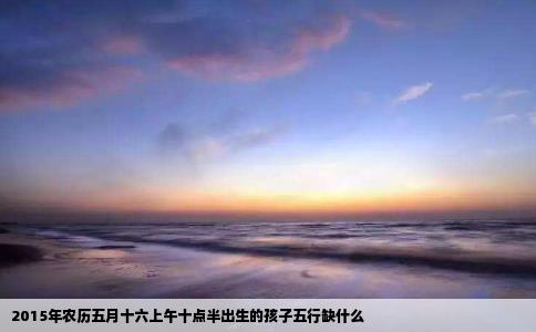 2015年农历五月十六上午十点半出生的孩子五行缺什么