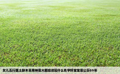 女儿五行属土缺木喜用神是火那应该起什么名字好宝宝是公历09年