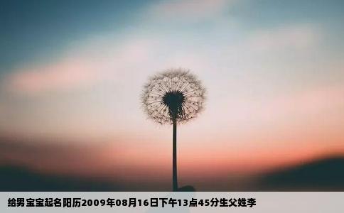 给男宝宝起名阳历2009年08月16日下午13点45分生父姓李