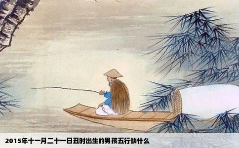 2015年十一月二十一日丑时出生的男孩五行缺什么