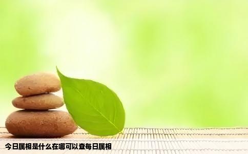 今日属相是什么在哪可以查每日属相