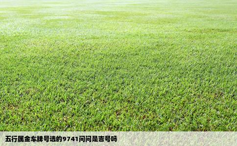 五行属金车牌号选的9741问问是吉号吗