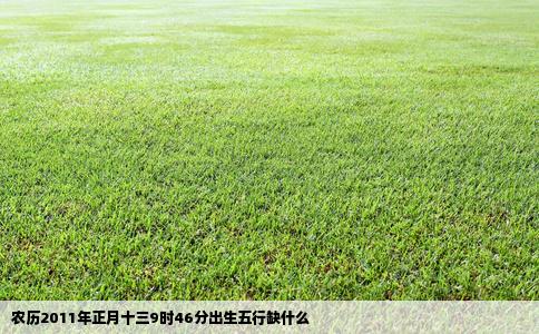 农历2011年正月十三9时46分出生五行缺什么