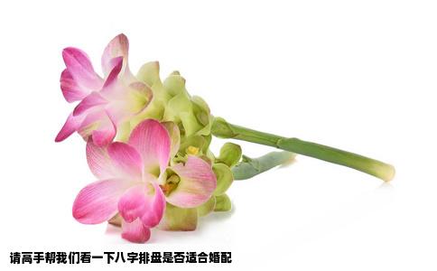 请高手帮我们看一下八字排盘是否适合婚配