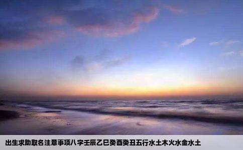 出生求助取名注意事项八字壬辰乙巳癸酉癸丑五行水土木火水金水土