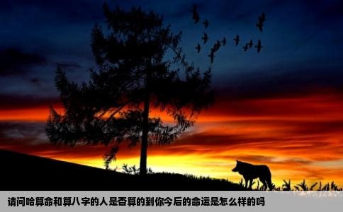 请问哈算命和算八字的人是否算的到你今后的命运是怎么样的吗