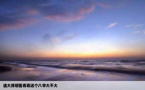请大师帮我看看这个八字大不大