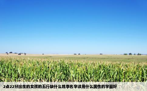 2点22分出生的女孩的五行缺什么姓李名字该用什么属性的字最好
