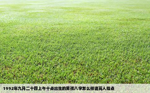 1992年九月二十四上午十点出生的男孩八字怎么样请高人指点
