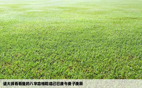 请大师看看我的八字命格乾造己巳庚午庚子庚辰