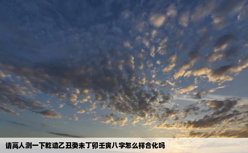 请高人测一下乾造乙丑癸未丁卯壬寅八字怎么样合化吗