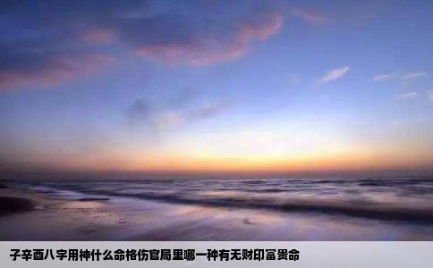 子辛酉八字用神什么命格伤官局里哪一种有无财印富贵命