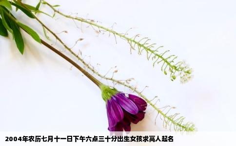 2004年农历七月十一日下午六点三十分出生女孩求高人起名