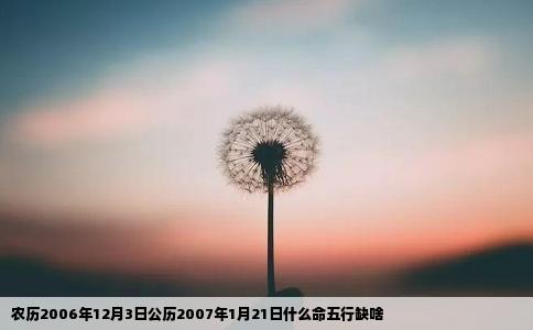 农历2006年12月3日公历2007年1月21日什么命五行缺啥