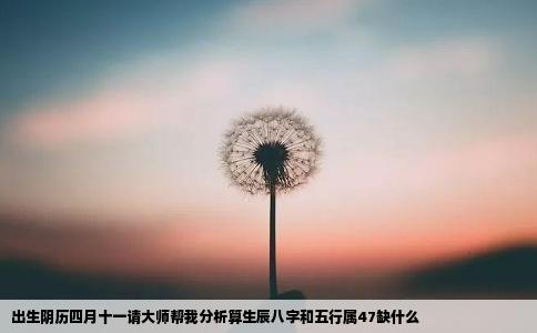 出生阴历四月十一请大师帮我分析算生辰八字和五行属47缺什么
