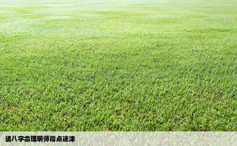 请八字命理明师指点迷津