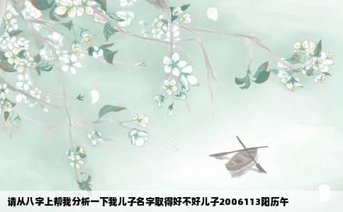请从八字上帮我分析一下我儿子名字取得好不好儿子2006113阳历午