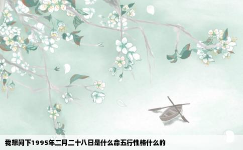 我想问下1995年二月二十八日是什么命五行性格什么的