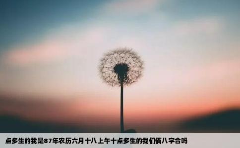 点多生的我是87年农历六月十八上午十点多生的我们俩八字合吗