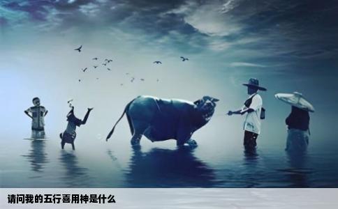 请问我的五行喜用神是什么