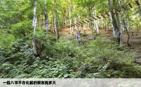 一般八字不合化解的概率有多大