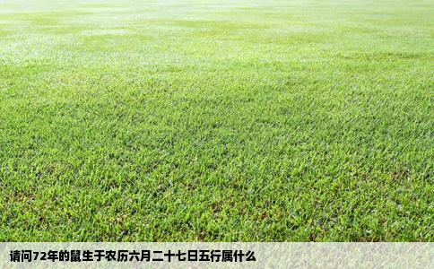 请问72年的鼠生于农历六月二十七日五行属什么