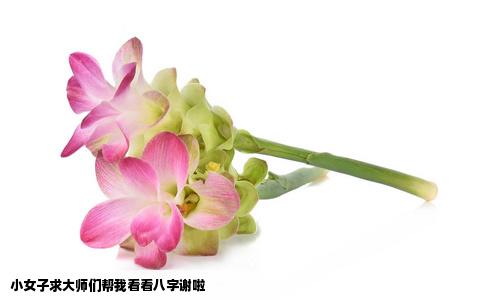 小女子求大师们帮我看看八字谢啦