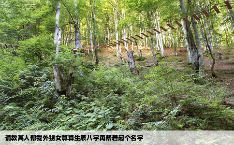 请教高人帮我外甥女算算生辰八字再帮着起个名字