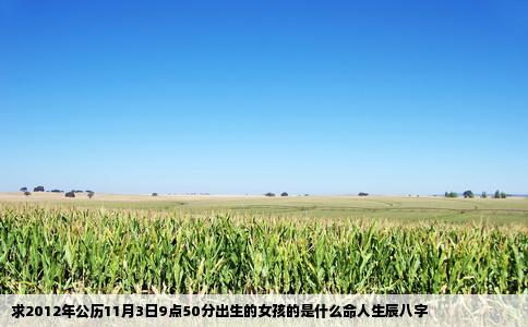 求2012年公历11月3日9点50分出生的女孩的是什么命人生辰八字
