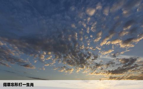 得意忘形打一生肖